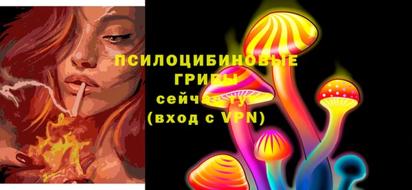 кокс Арсеньев