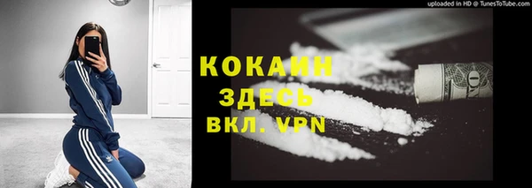 кокс Арсеньев