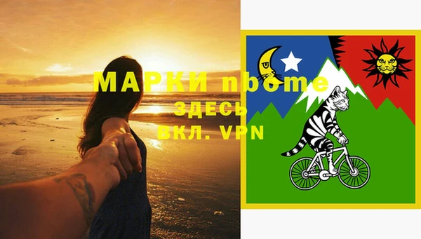 кокс Арсеньев